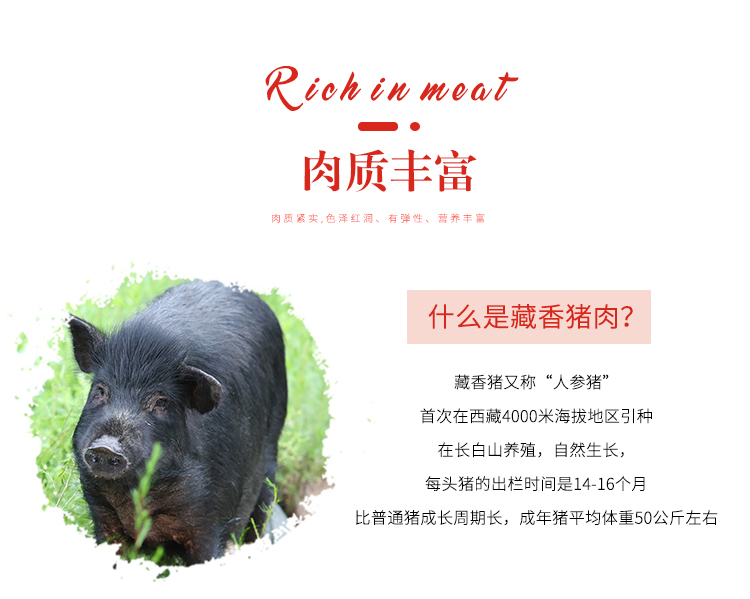 猪肉礼盒鲜情动_08.jpg