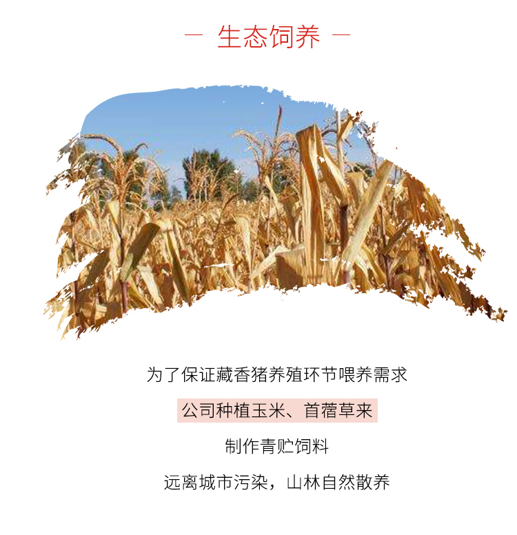 猪肉礼盒鲜缤纷套餐_09.jpg